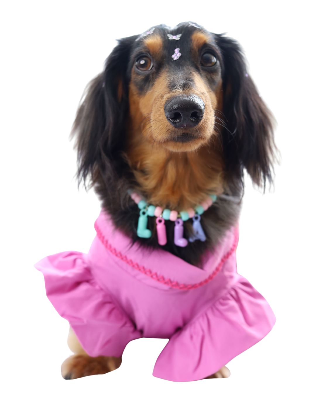 Lila