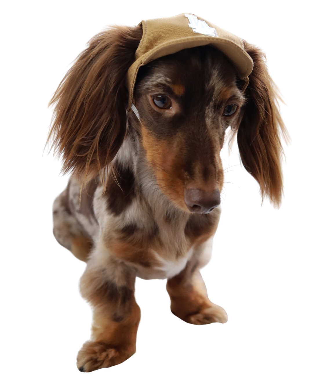 Théo